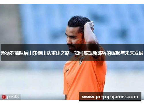 桑德罗离队后山东泰山队重建之路:如何实现新阵容的崛起与未来发展 桑德罗离队后山东泰山队重建之路:如何实现新阵容的崛起与未来发展